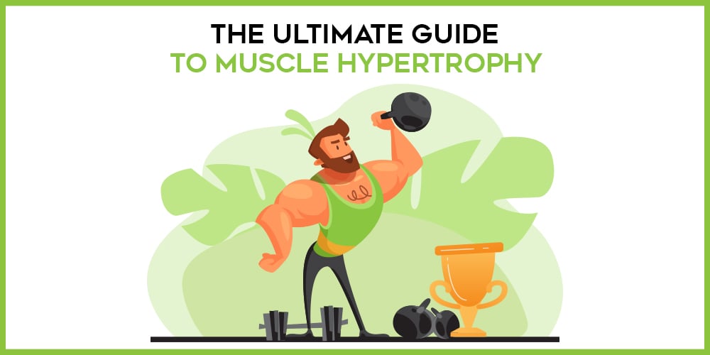 hypertrophy guide